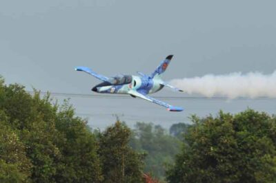 BH190 - L-39 Albatros 1,890mm ( 74.4")/Turbine 100-140N W/Electric Retract